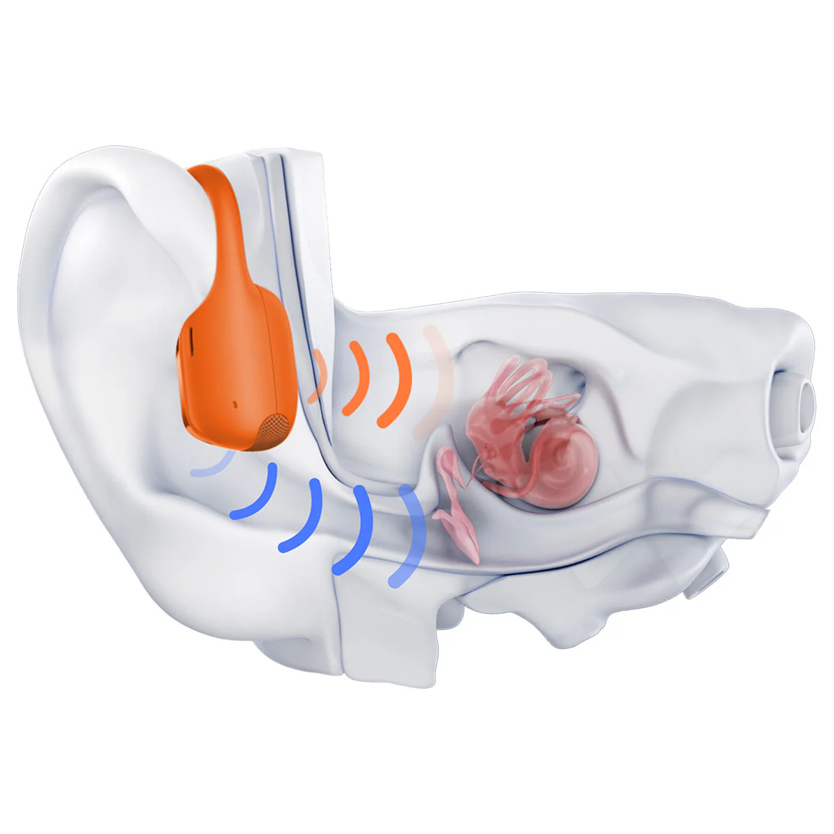 Shokz OpenRun Pro 2 Wireless Bluetooth Headphones - Image 16