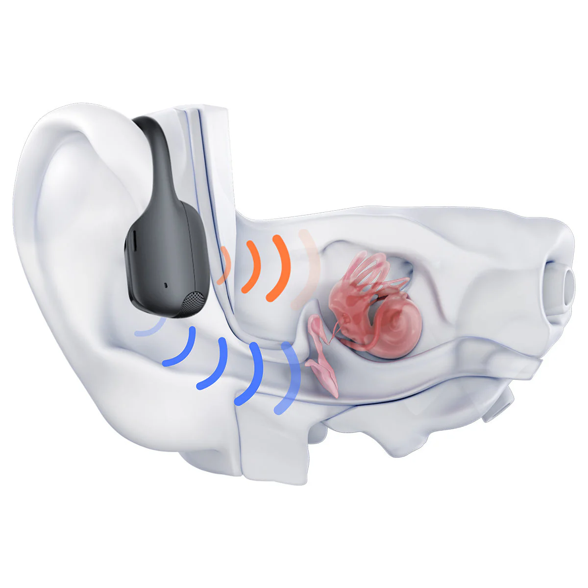 Shokz OpenRun Pro 2 Wireless Bluetooth Headphones - Image 8